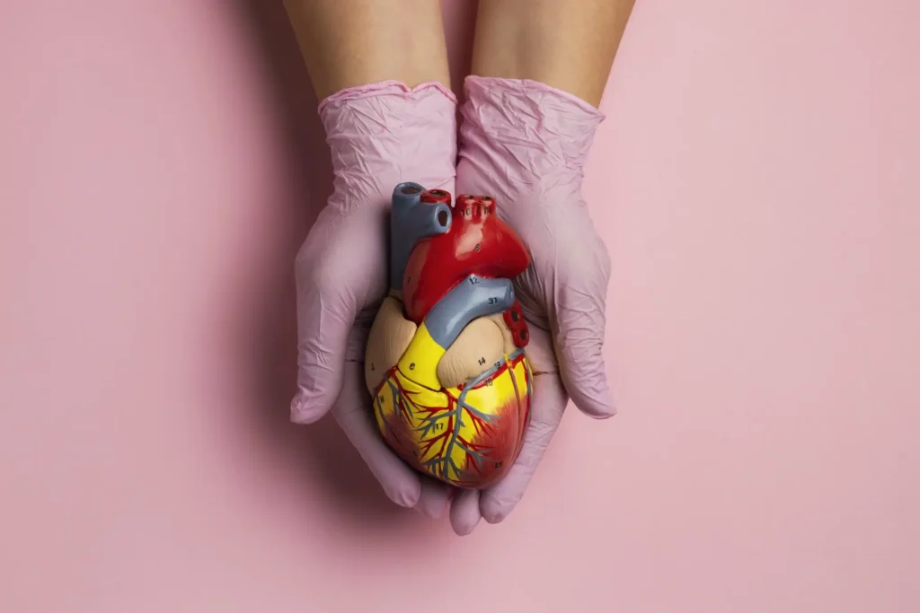 Stent-ul folosit în boala cardiovasculară