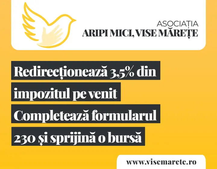 Formular 230 – Aripi Mici, Vise Mărețe